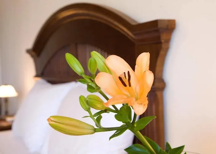 Adriatica Apart-hotel