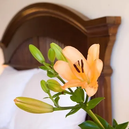 Adriatica Hotel apartamentowy